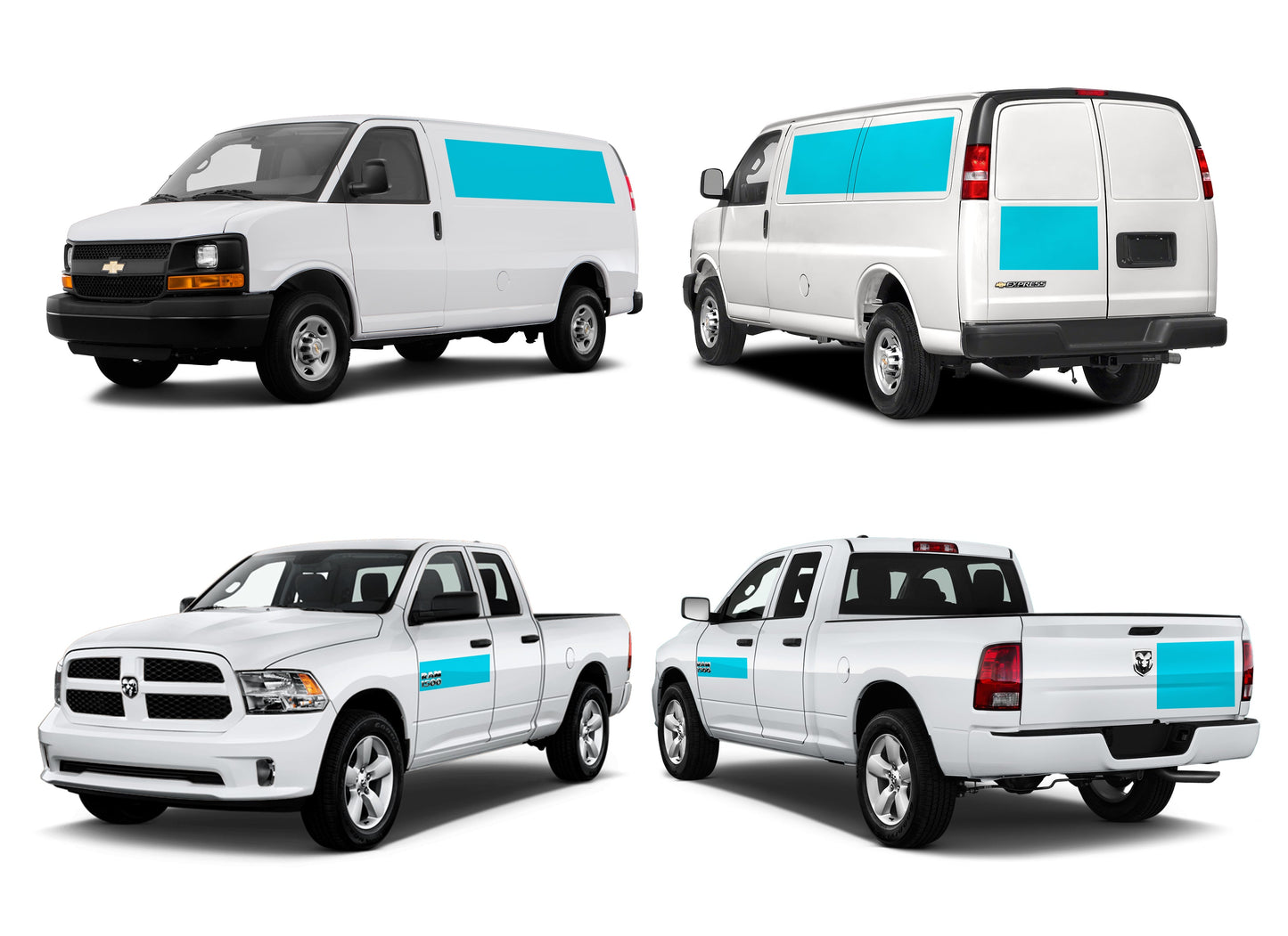 Logo + Basic Information